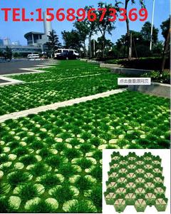 生活小區(qū)綠化植草格，植草格花園綠化，植草格廠家直銷價(jià)格便宜