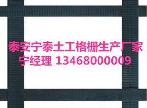 長沙鋼塑土工格柵價格【鋼塑土工格柵多少錢一平？】