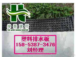 錦州%2公分排水板/0.8-6.0cm塑料透水板-廠家送貨到工地2公分透水板價格